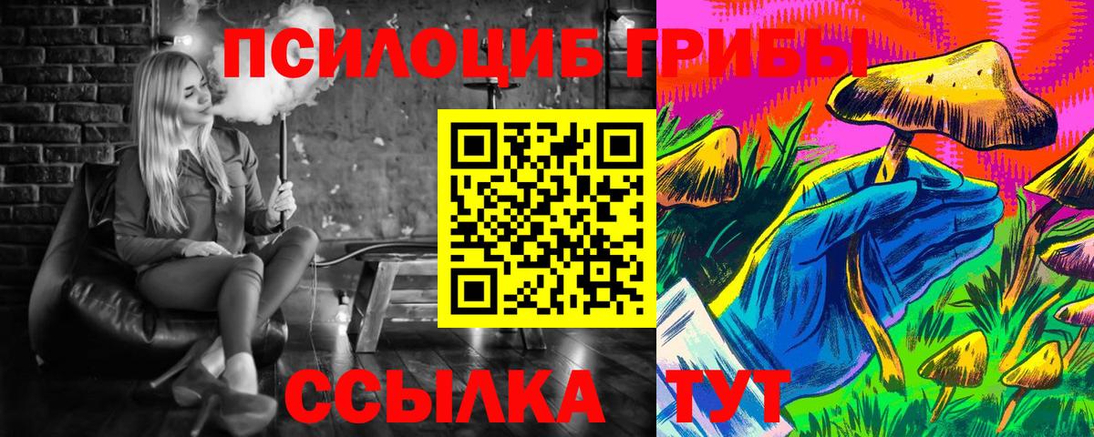 Борзя  Псилоцибиновые грибы Psilocybine cubensis  Вход с VPN  Псилоцибиновые грибы Psilocybine cubensis 