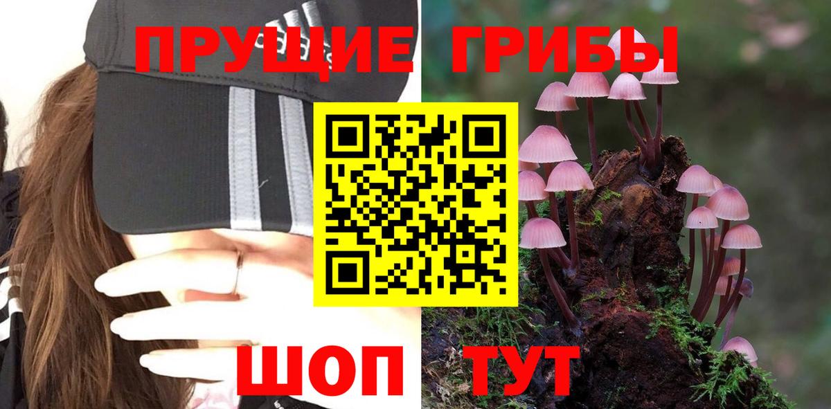 Псилоцибиновые грибы ЛСД Борзя